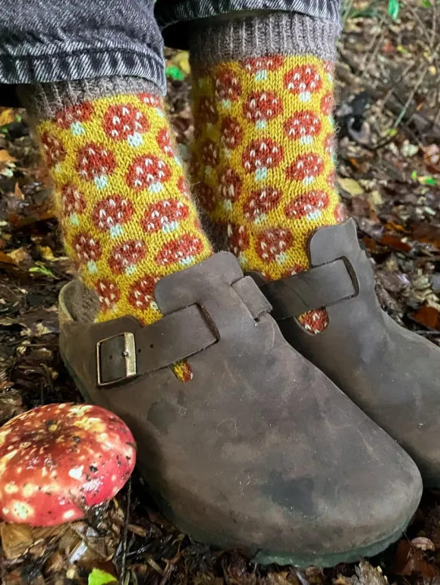 John Arbon Magical Mycelium Socken-Strickset Drumble Gr.1 strapazierfähig