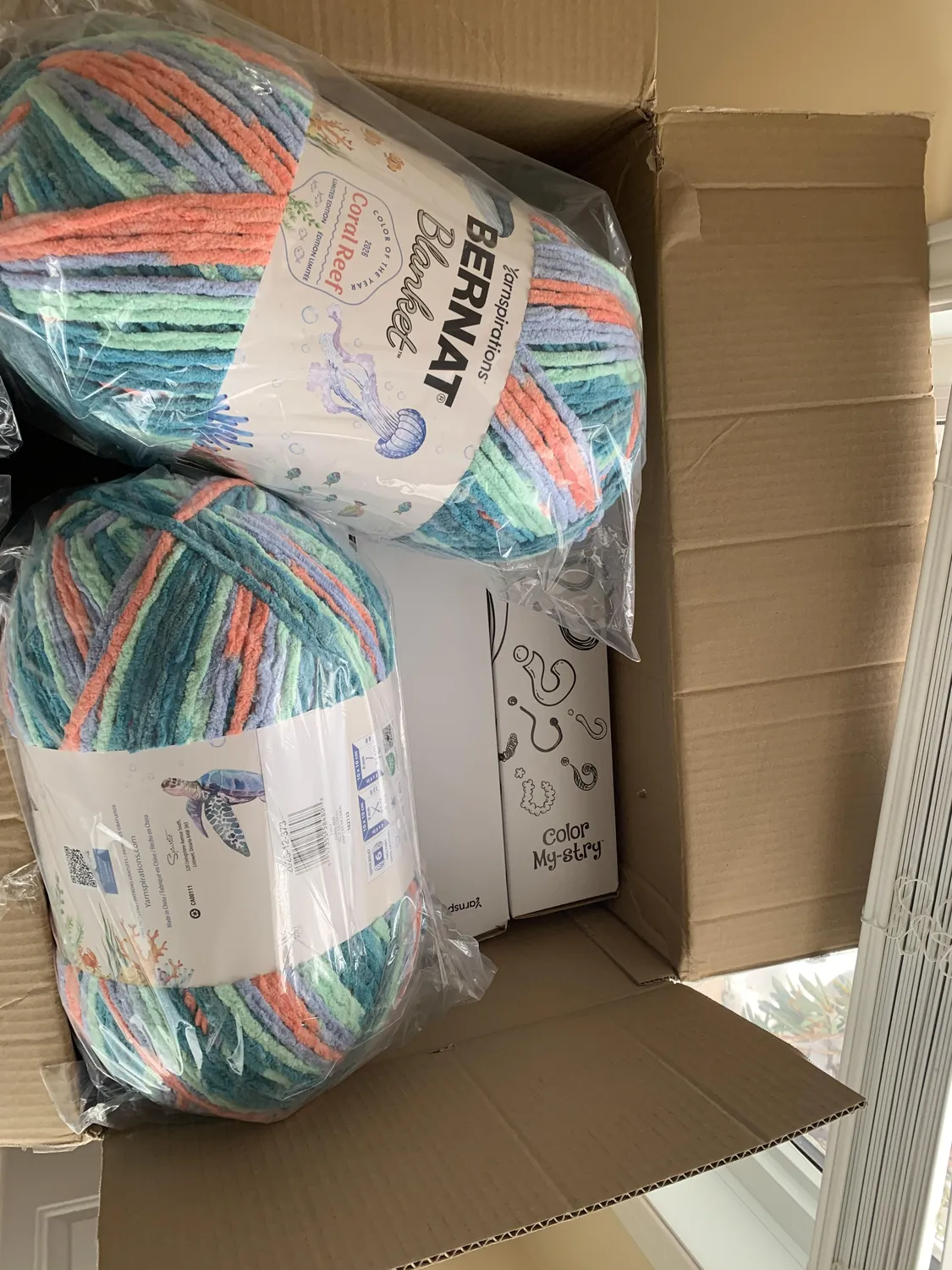 Bernat Blanket 2026 Chenillegarn 1000g Coral Reef plüschig