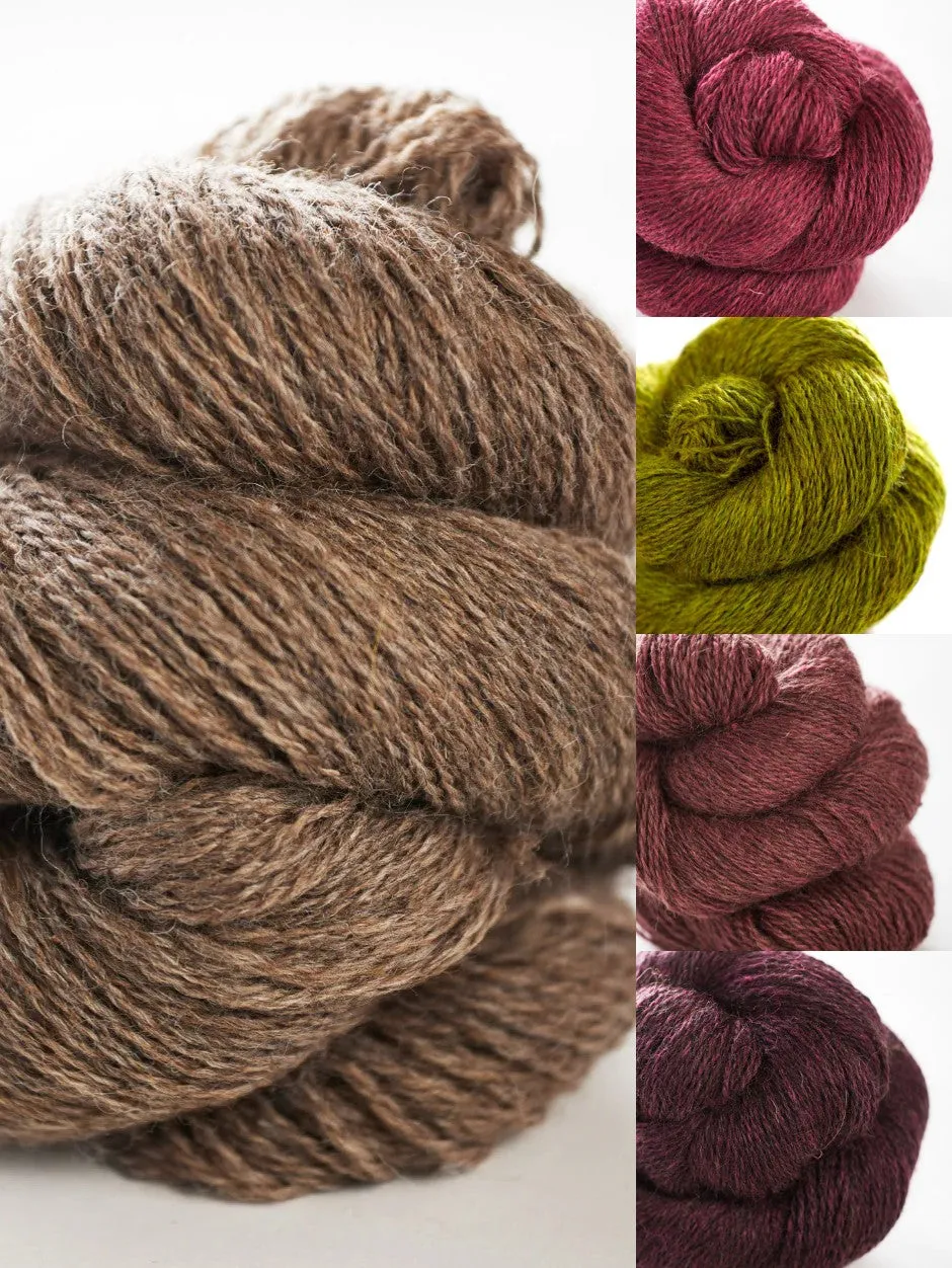 John Arbon Orla Pullover Strickkit Harvest Worsted Rainbow A-B