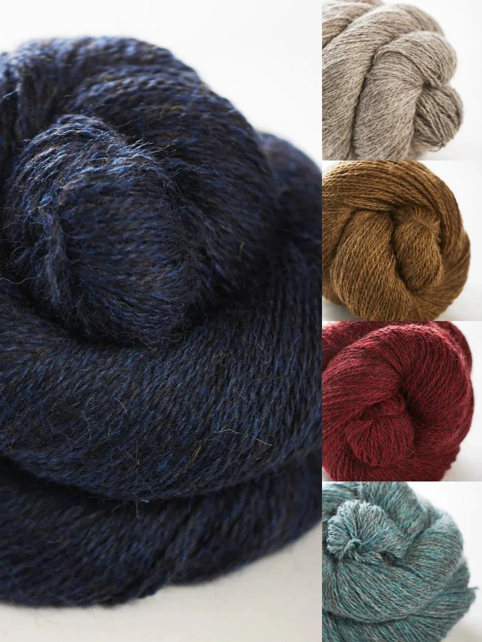 John Arbon Orla Pullover Strickkit Harvest Worsted Rainbow A-B