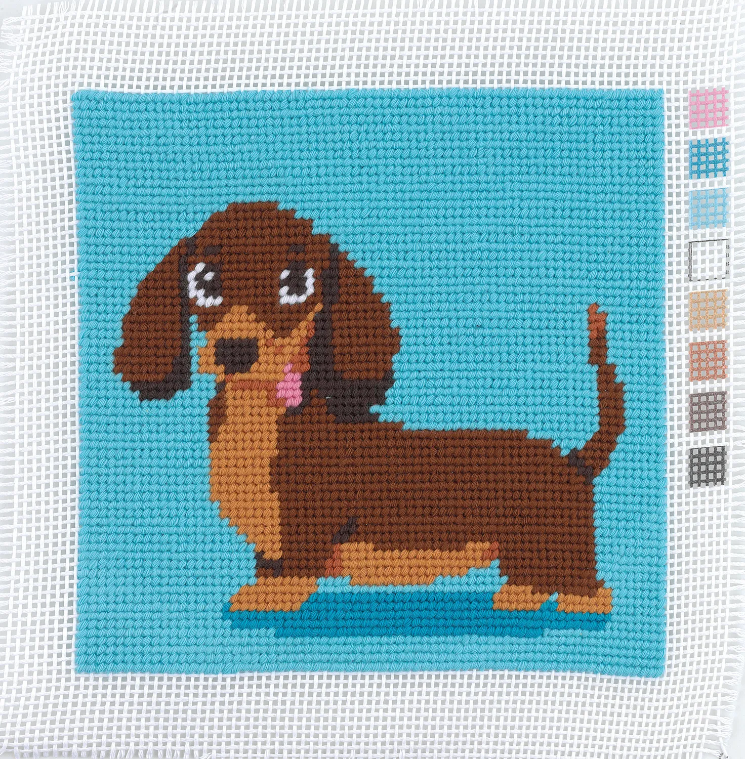 Anchor 1st Kit Pup Gobelin Stickset 15x15 cm Anfänger