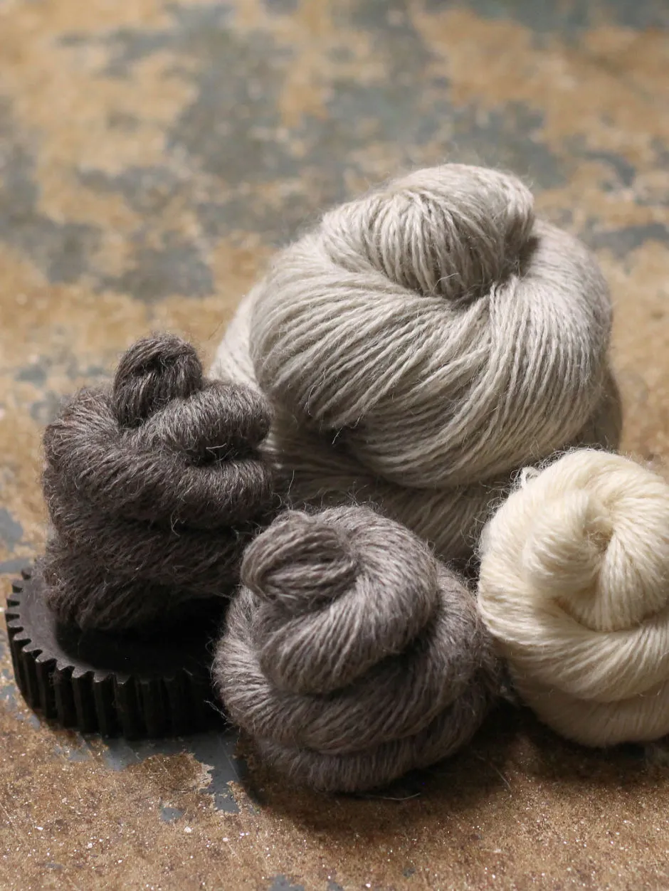 John Arbon Devon Naturals 4ply Wolle Zadie 100g ungefärbt