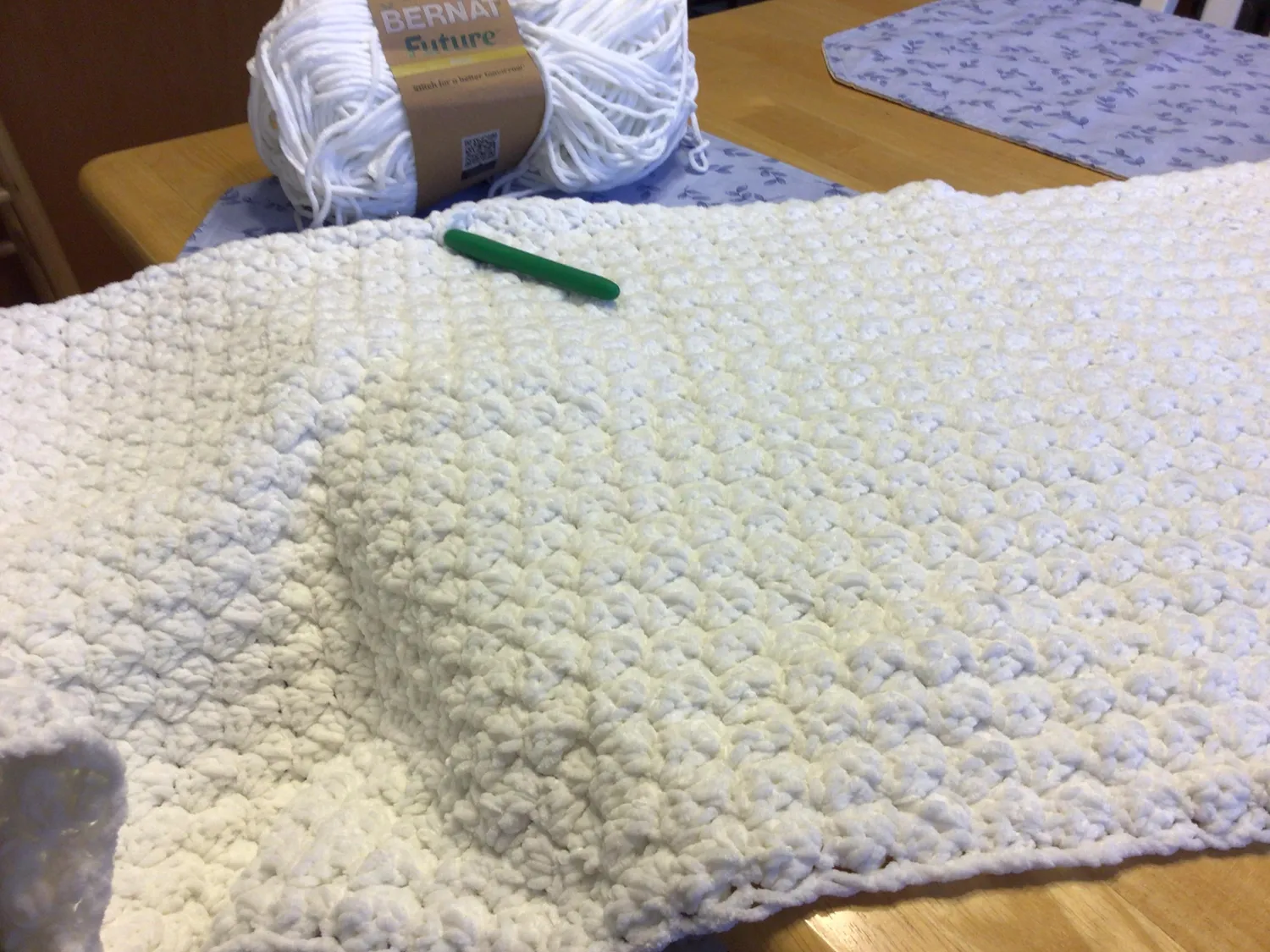 Bernat Future Hope Chenillegarn 170g Worsted plüschig