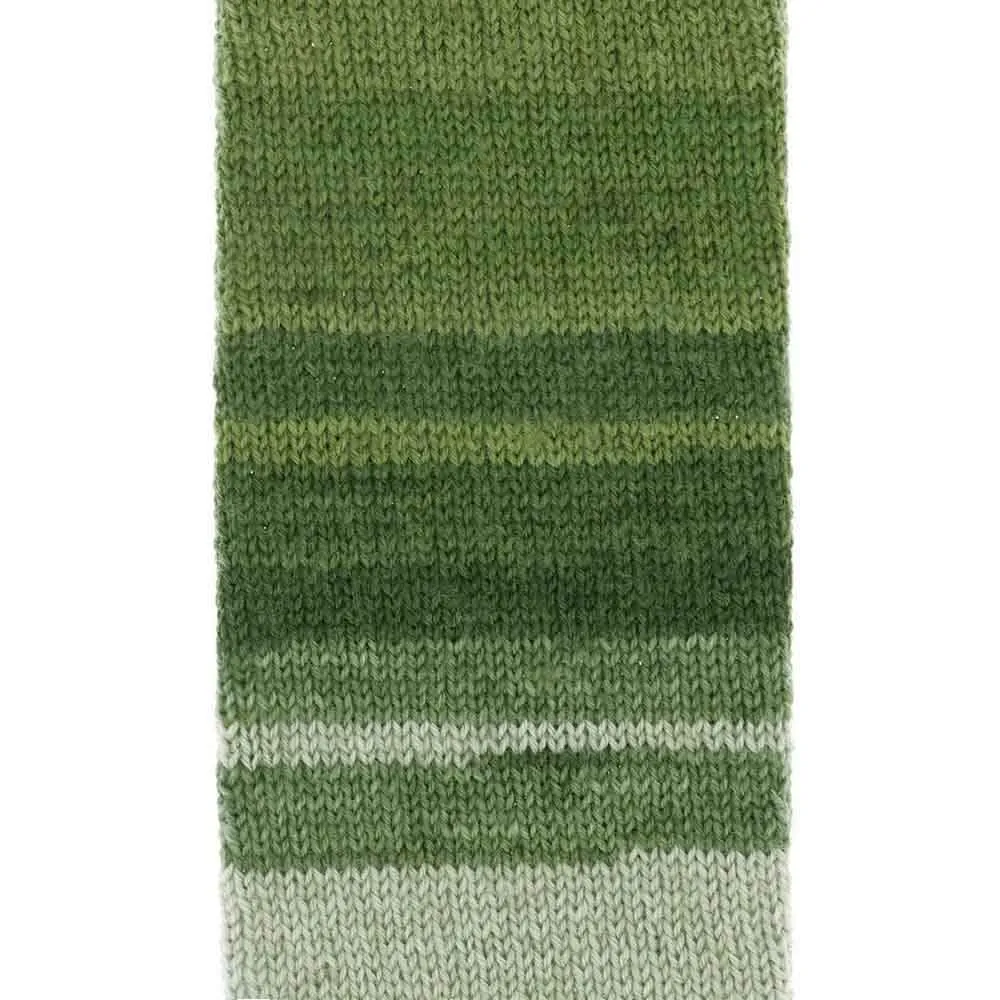 Scheepjes Arcadia 905 Rainforest Sockengarn 100g Wolle