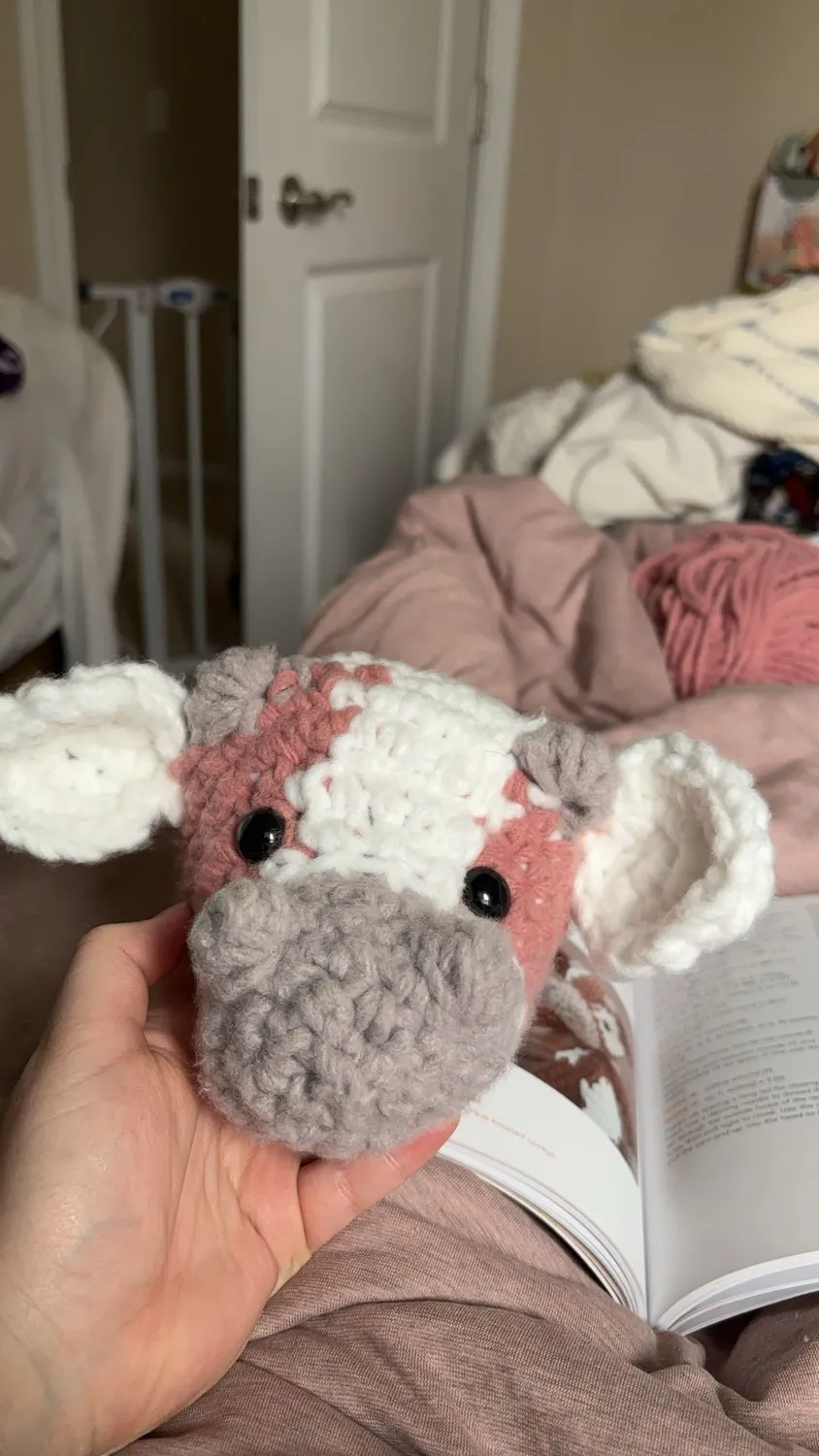 Bernat Forever Fleece Garn flauschig gebürstet