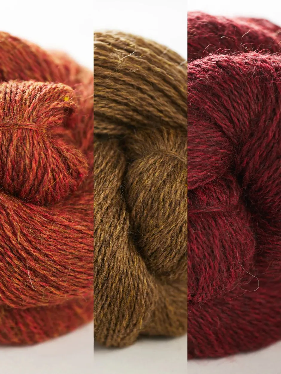 John Arbon Free Solo Pullover Strickkit Harvest Hues Gr.1-2