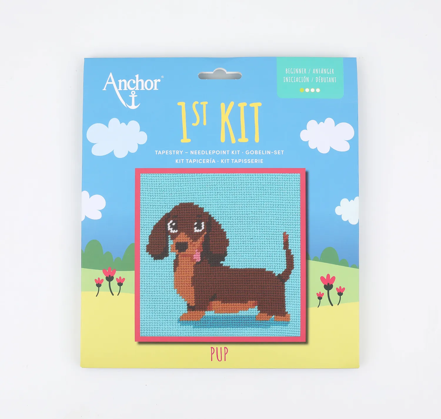 Anchor 1st Kit Pup Gobelin Stickset 15x15 cm Anfänger