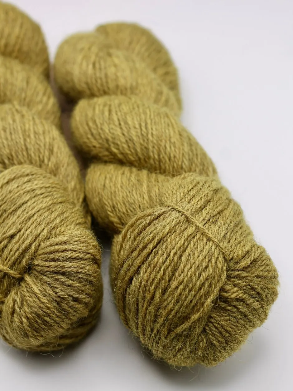 John Arbon Heirloom DK Wolle Bracken 100g Pflanzenfärbung