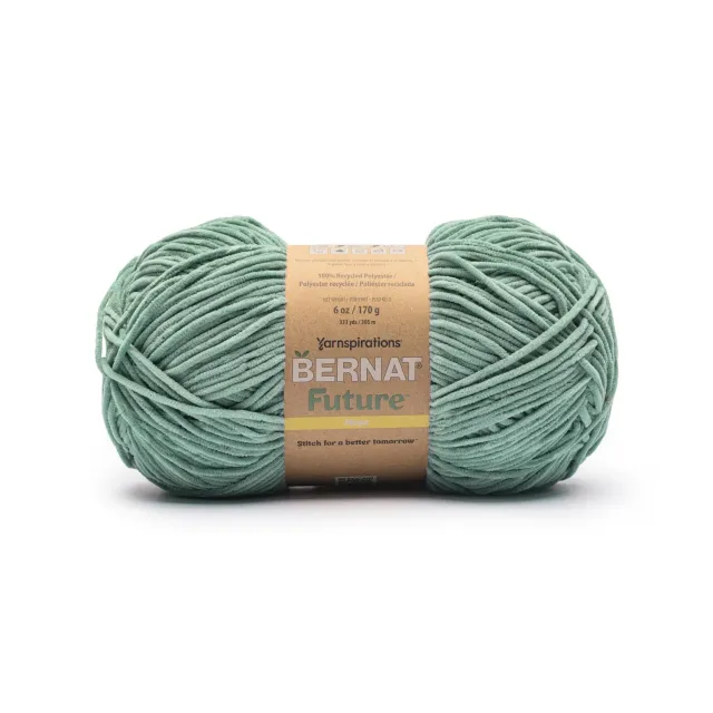 Bernat Future Hope Chenillegarn 170g Worsted plüschig