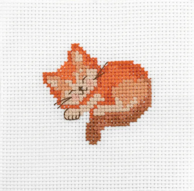 Anchor 1st Kit Sleeping Cat Kreuzstichset 10x10cm