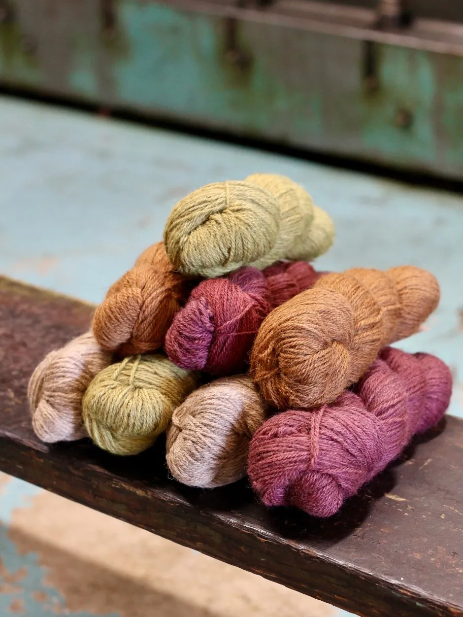 John Arbon Heirloom DK Wolle Bracken 100g Pflanzenfärbung