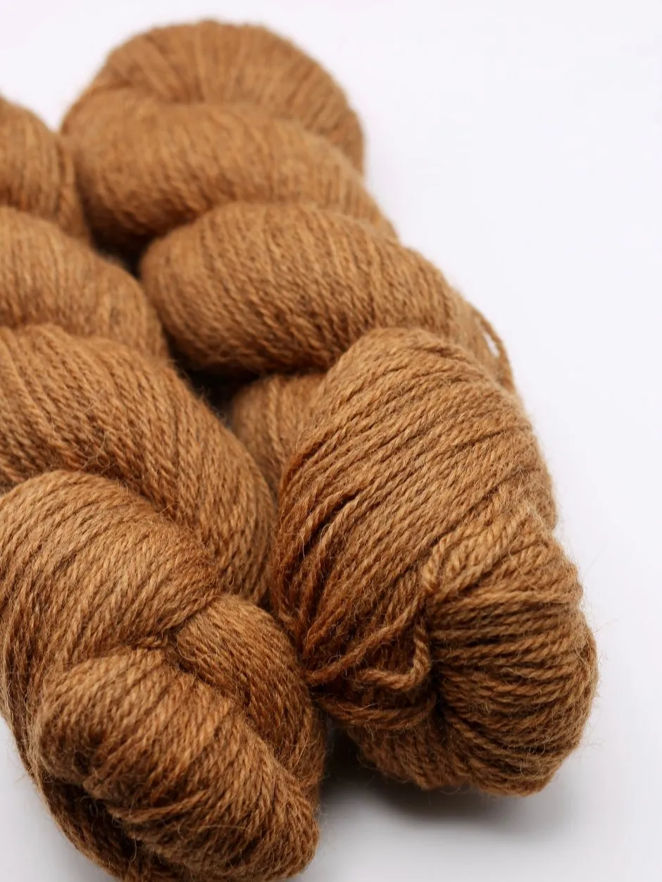 John Arbon Heirloom DK Wolle Bracken 100g Pflanzenfärbung