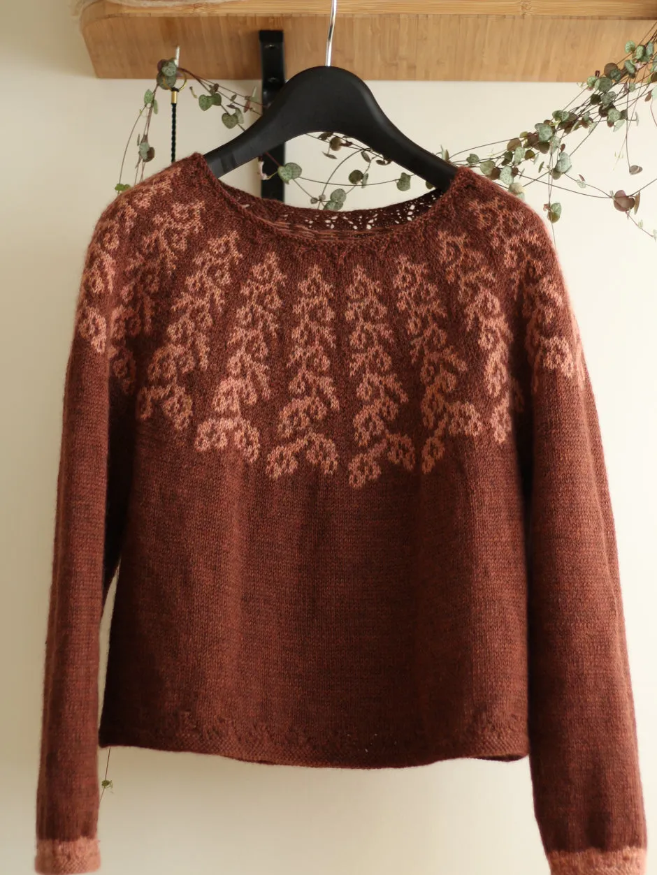 John Arbon Yarnadelic Silin Pullover Strickkit Galleta Gr 1-2