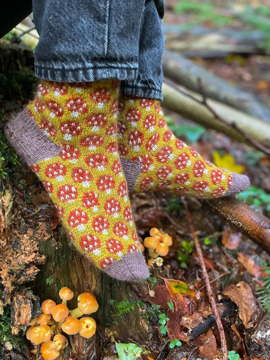 John Arbon Magical Mycelium Socken-Strickset Drumble Gr.1 strapazierfähig