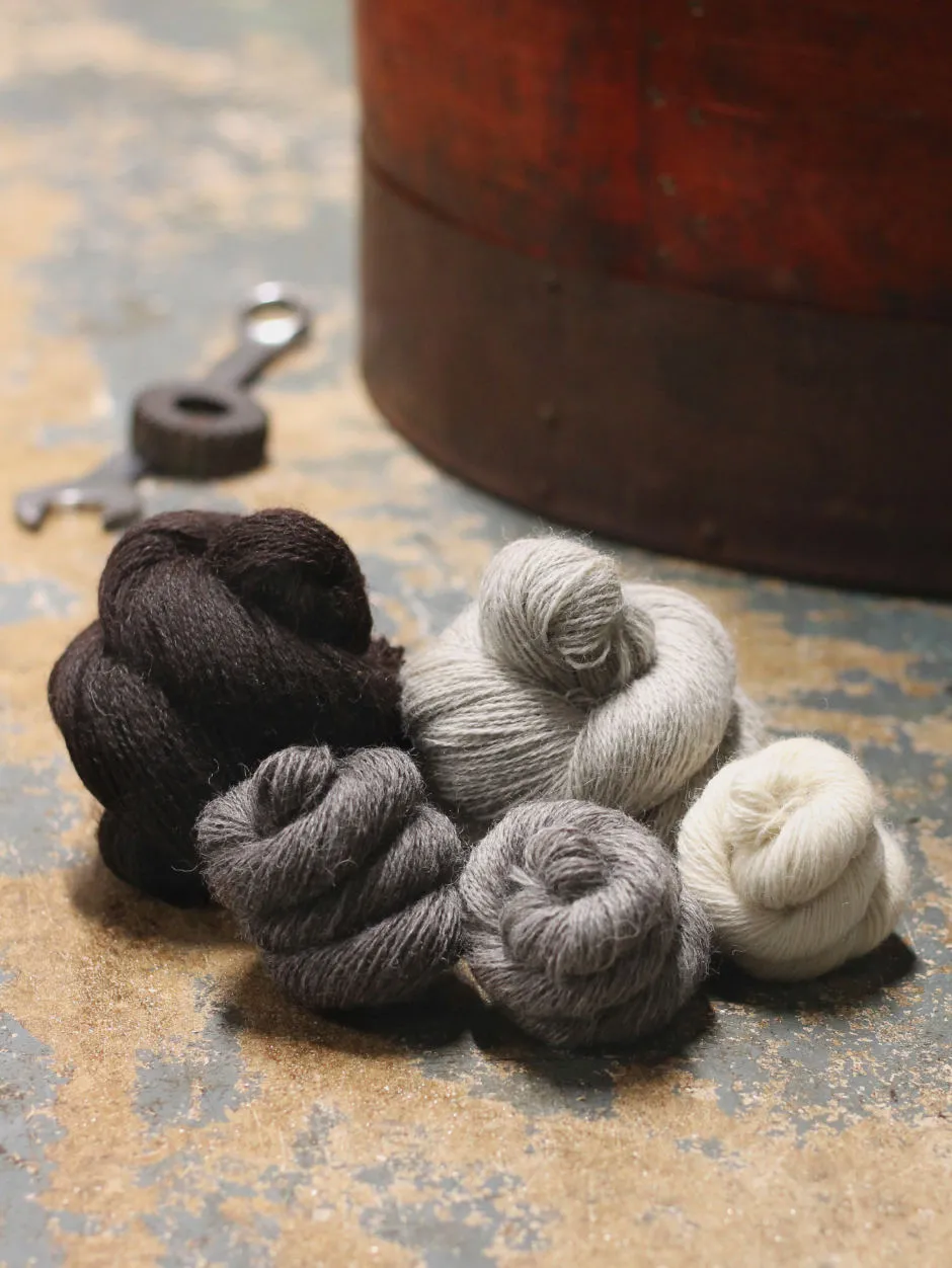 John Arbon Devon Naturals 4ply Wolle Zadie 100g ungefärbt