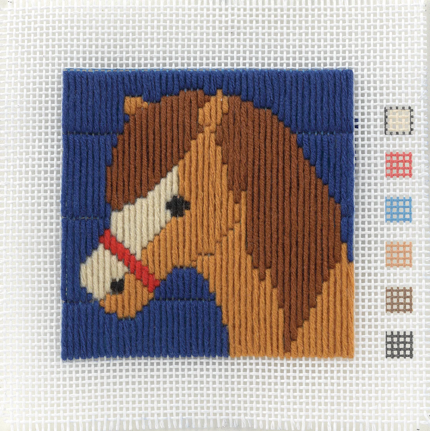 Anchor 1st Kit Long Stitch Dylan Stickset Pferd 10x10 cm
