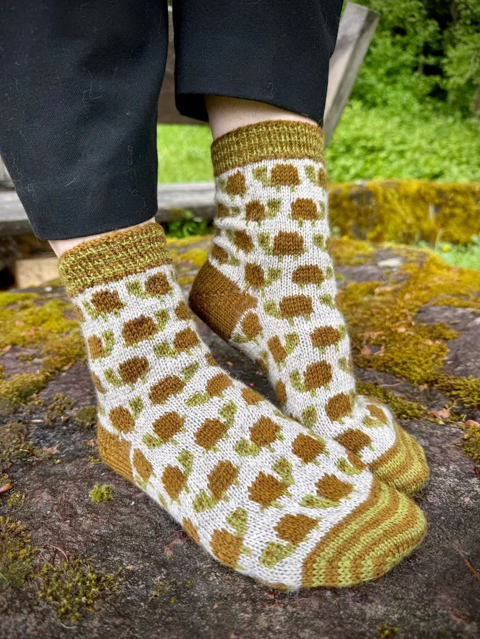 John Arbon Tortoise Socks Strickkit Gr. 1 Colorwork