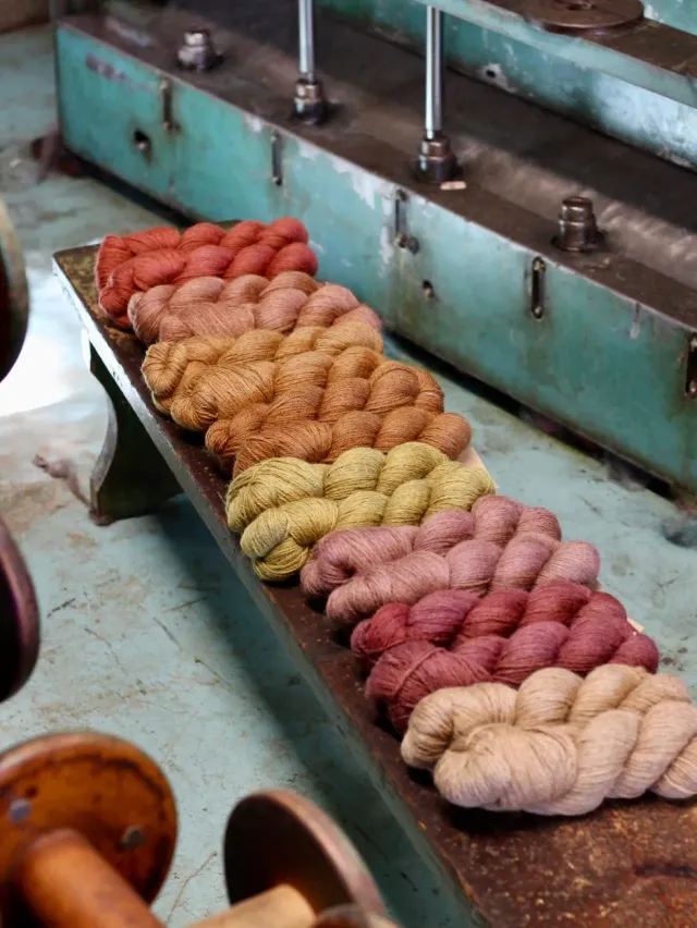 John Arbon Heirloom DK Wolle Bracken 100g Pflanzenfärbung