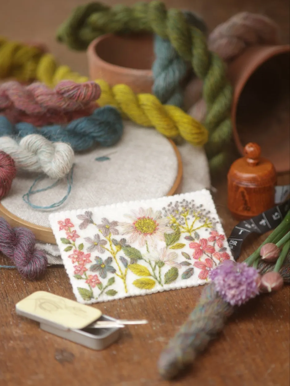 John Arbon Appledore Stickkit Sampler 12 Farben Sticken