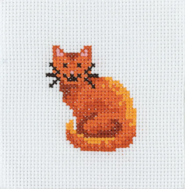 Anchor 1st Kit Cat Kreuzstich Stickset 10x10 cm Anfänger