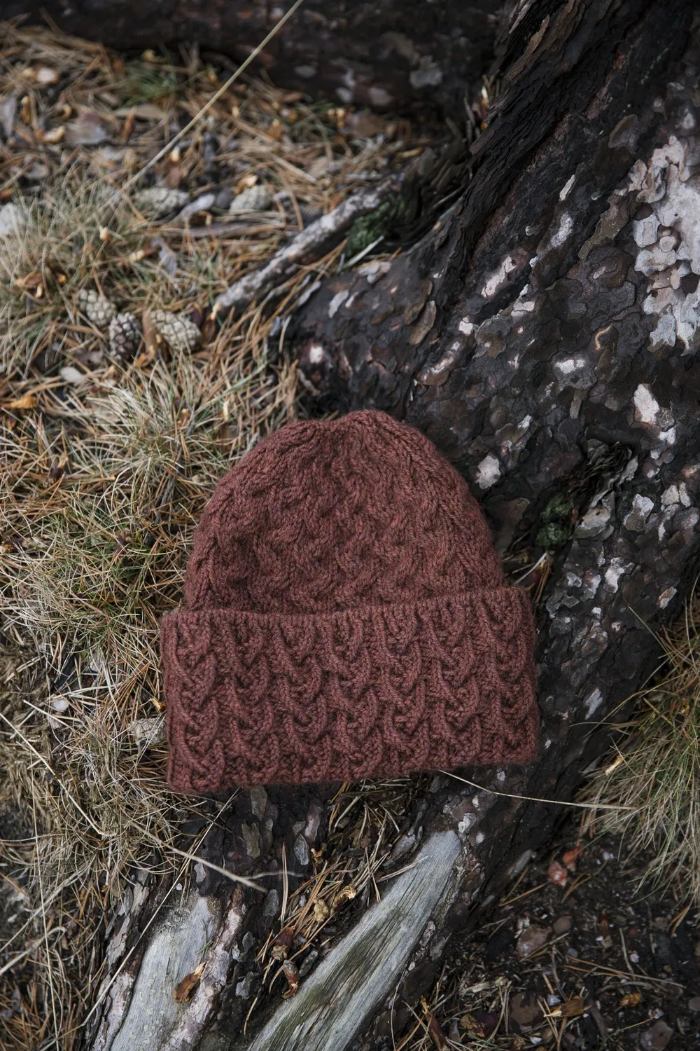 John Arbon Boundaries Hat Strickkit Galleta Guitar Zopfmuster